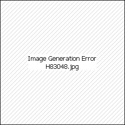 H83048